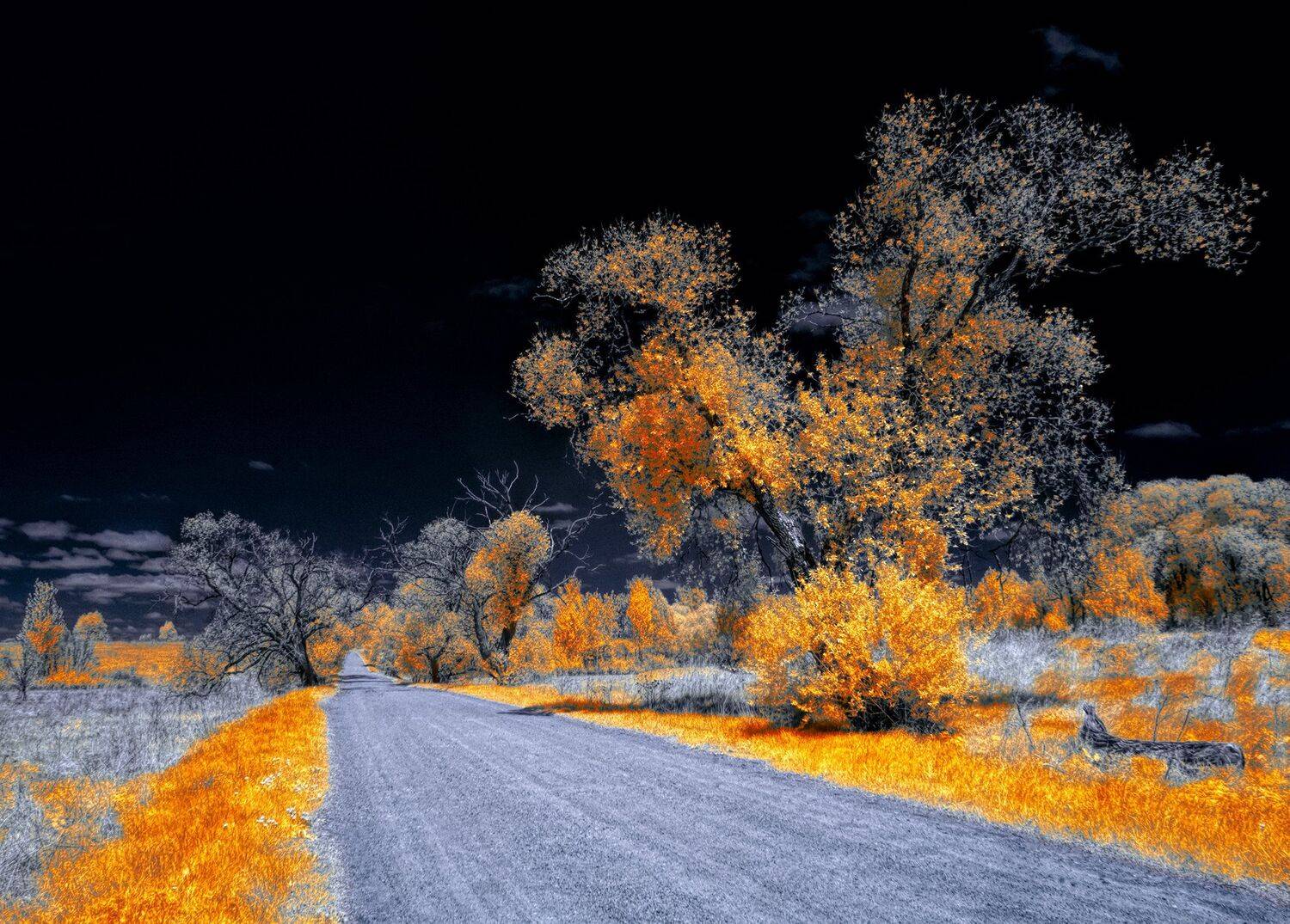 , Sixten ( Сергей )