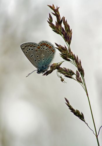 Свет в конце тоннеля