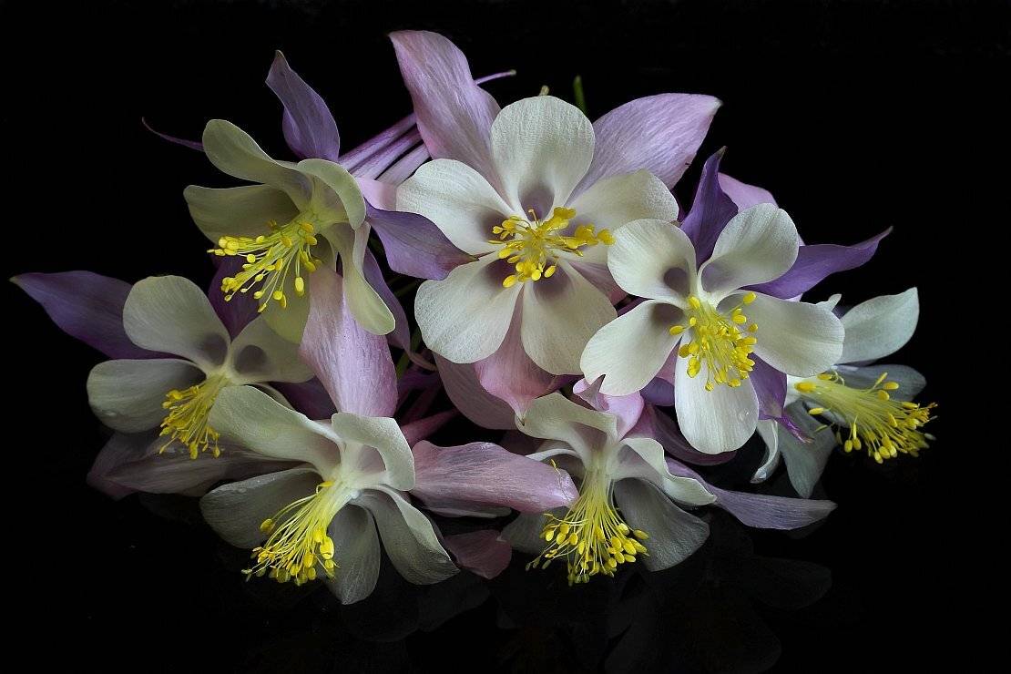 , Сергей Фудиненко