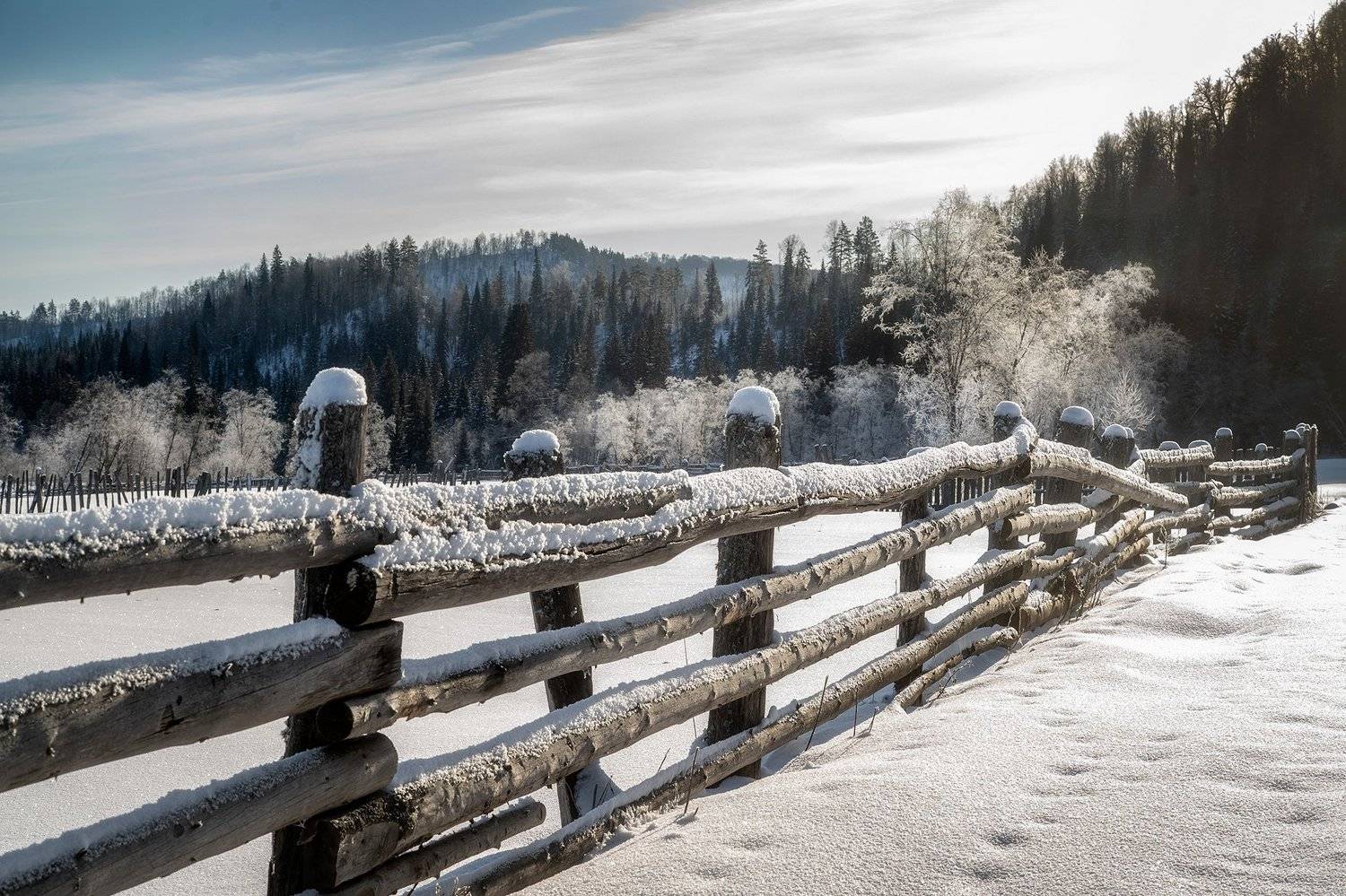 пейзаж,зима,снег,мороз,изгородь,иней,горы, Тамара Андреева