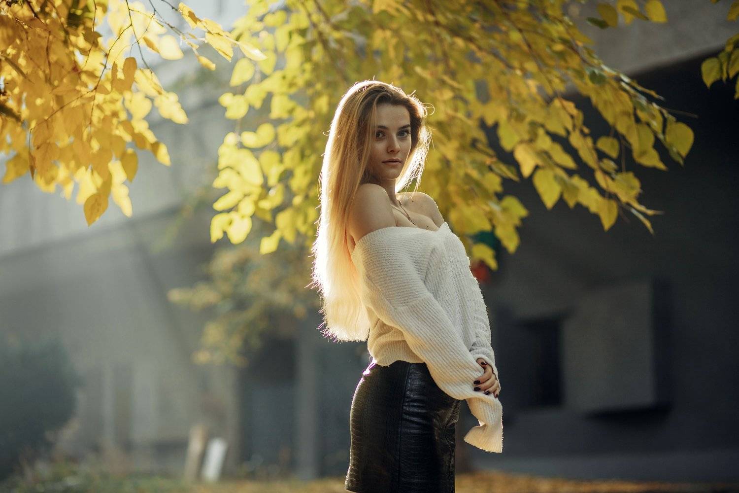 , Волошин Артем