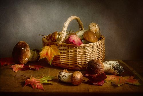 Грибная пора