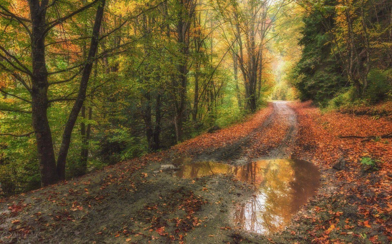 , Александр Круль