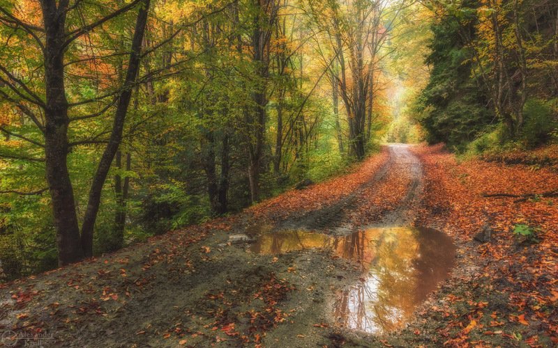 Осенней дорожкой... фото превью