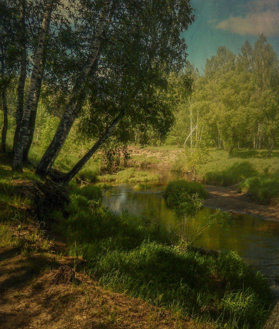 лето ,пейзаж, река, вольга, владимирская область, вольгинский, Елена Рубинская