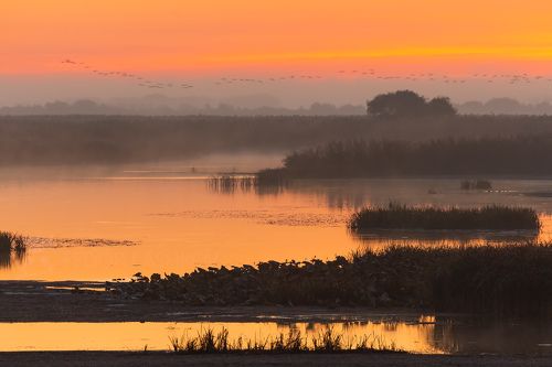 Осенний рассвет в заповеднике