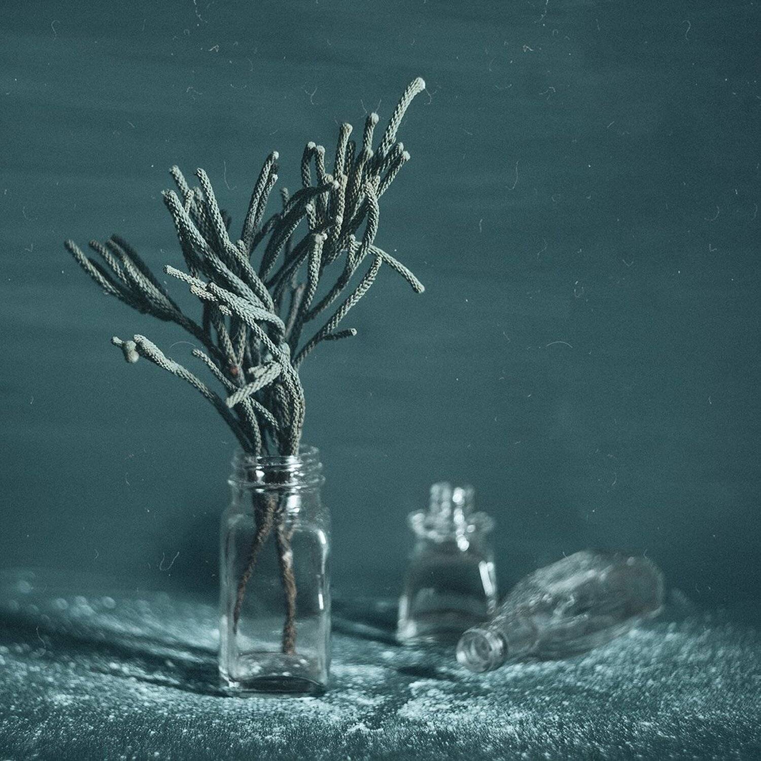 , MVO (Марк Орлов)