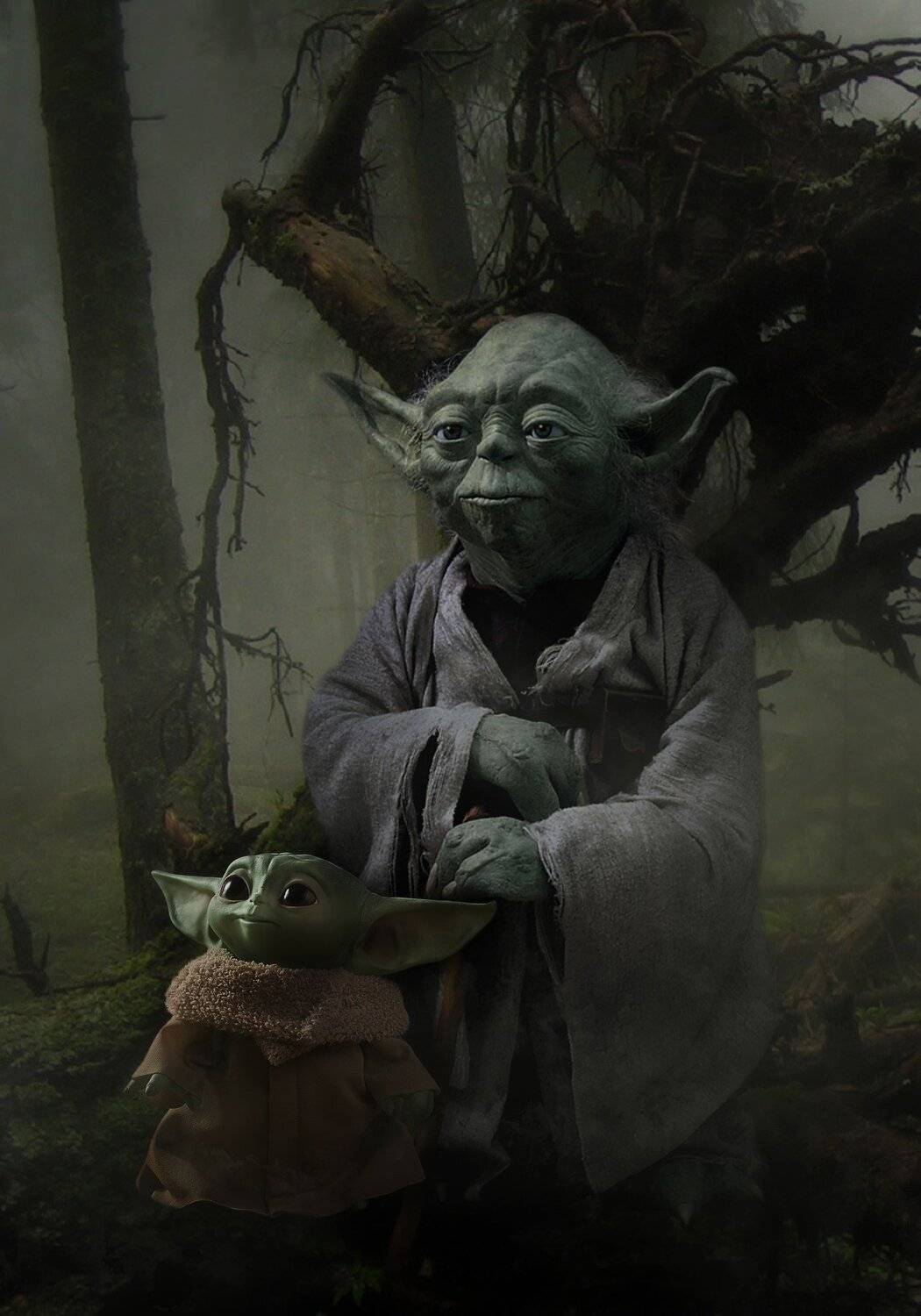 йода, старик, малыш, лес, Sergii Vidov