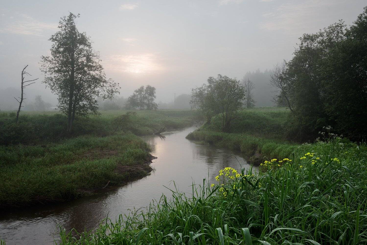 , Борис Леваков