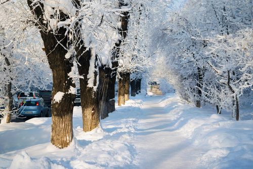 Снежное царство