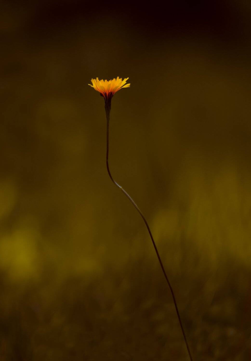 природа, Sixten ( Сергей )