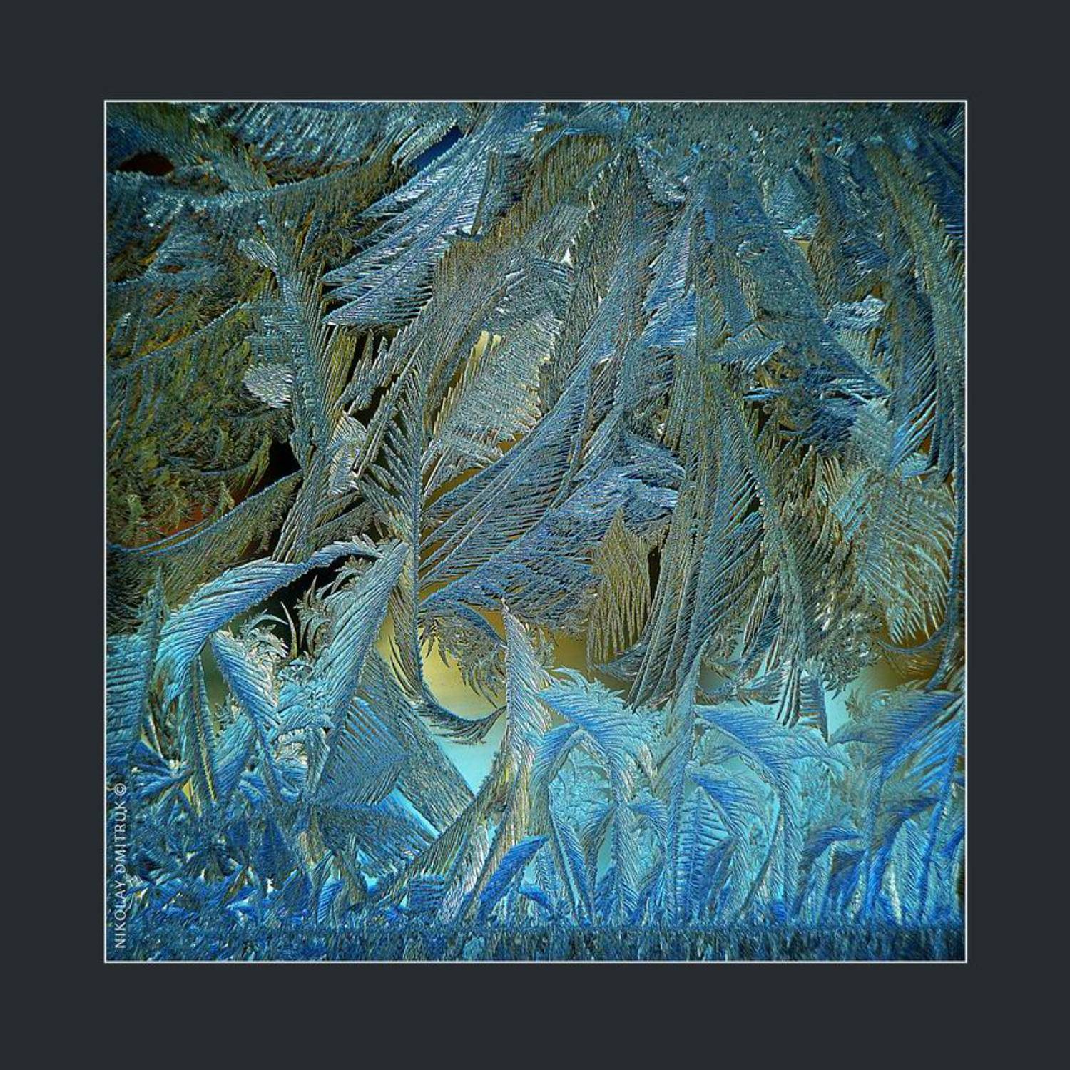 макро, николай дмитрук