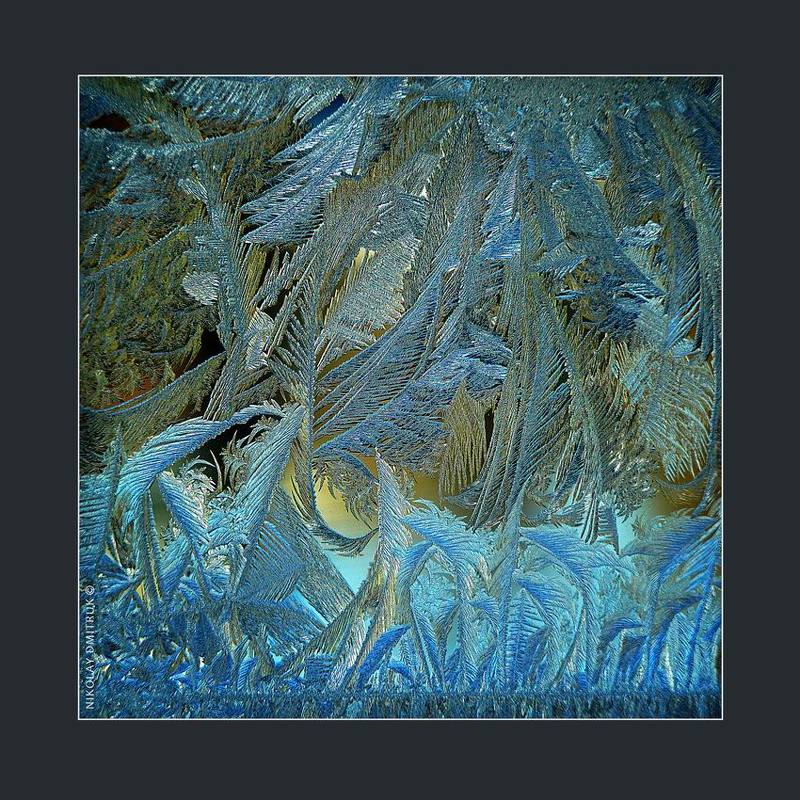 макро волшебный лес. графика мороза 87 фото превью