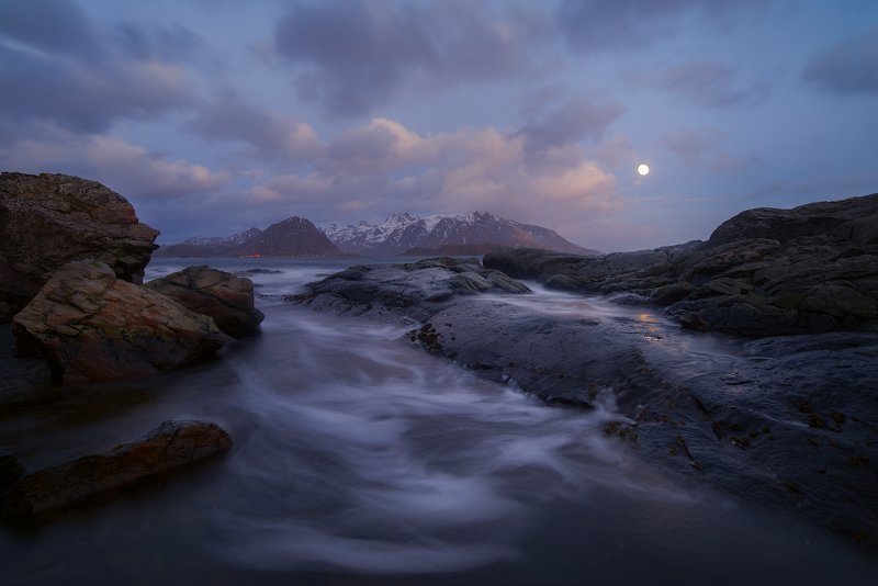 Night dreams. фото превью
