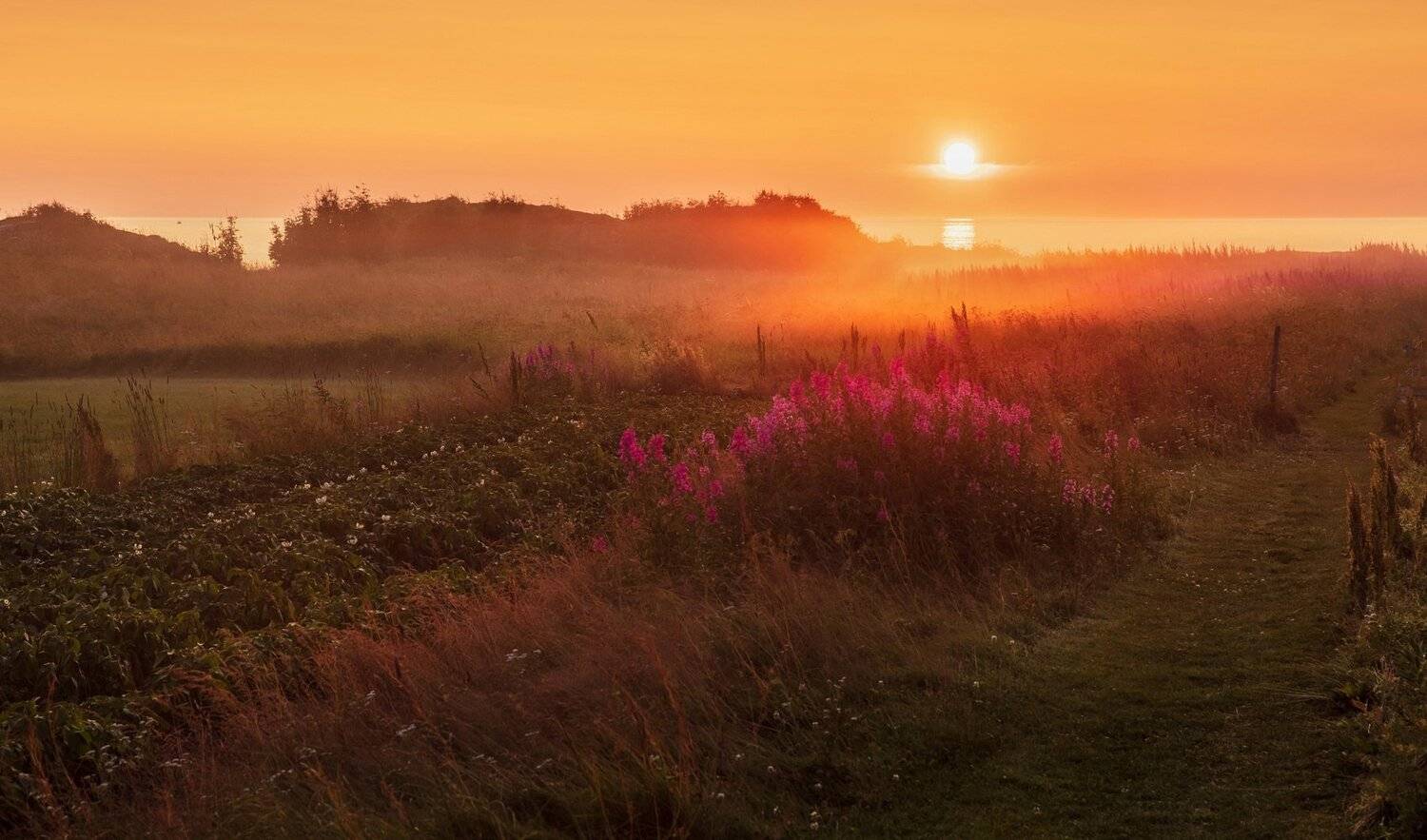 норвегия, лофотены, закат, солнце, море,  Marat Max (Марат Макс)