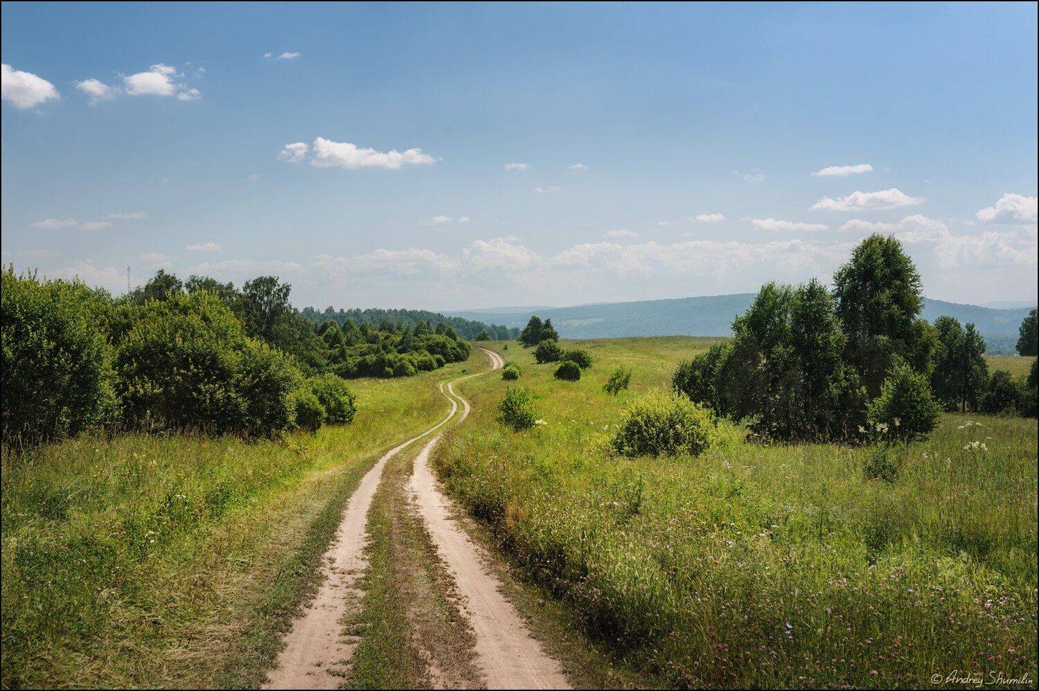 , Андрей Шумилин