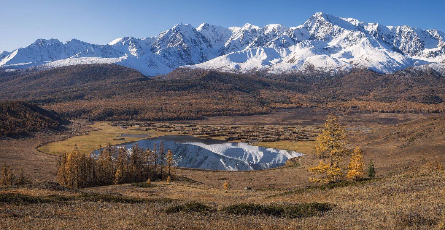 , Лещёнок Александр