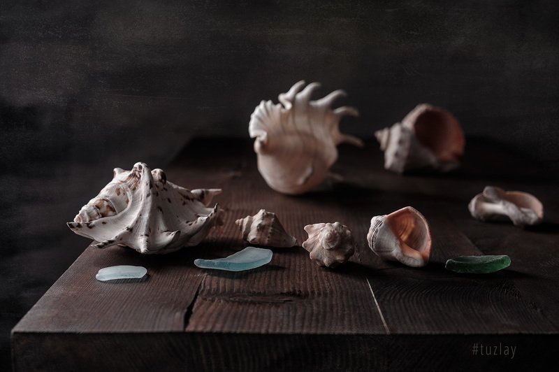 И снова про ракушки... фото превью