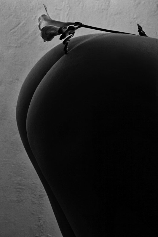 *** фото превью