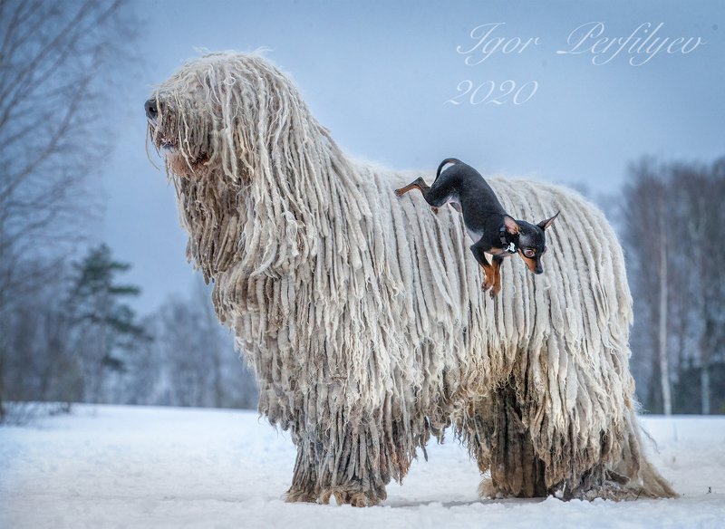 Про альпинизм фото превью