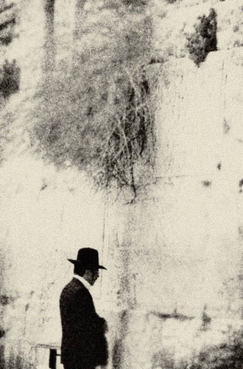 #pictorialism, Artur Politov