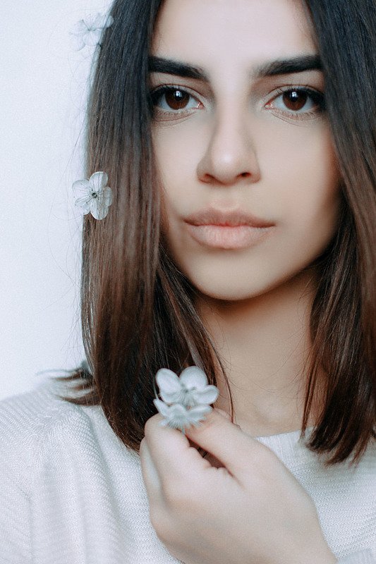 Белая сирень фото превью