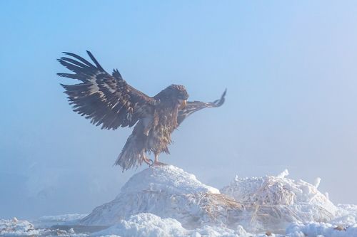 Разминка на морозе