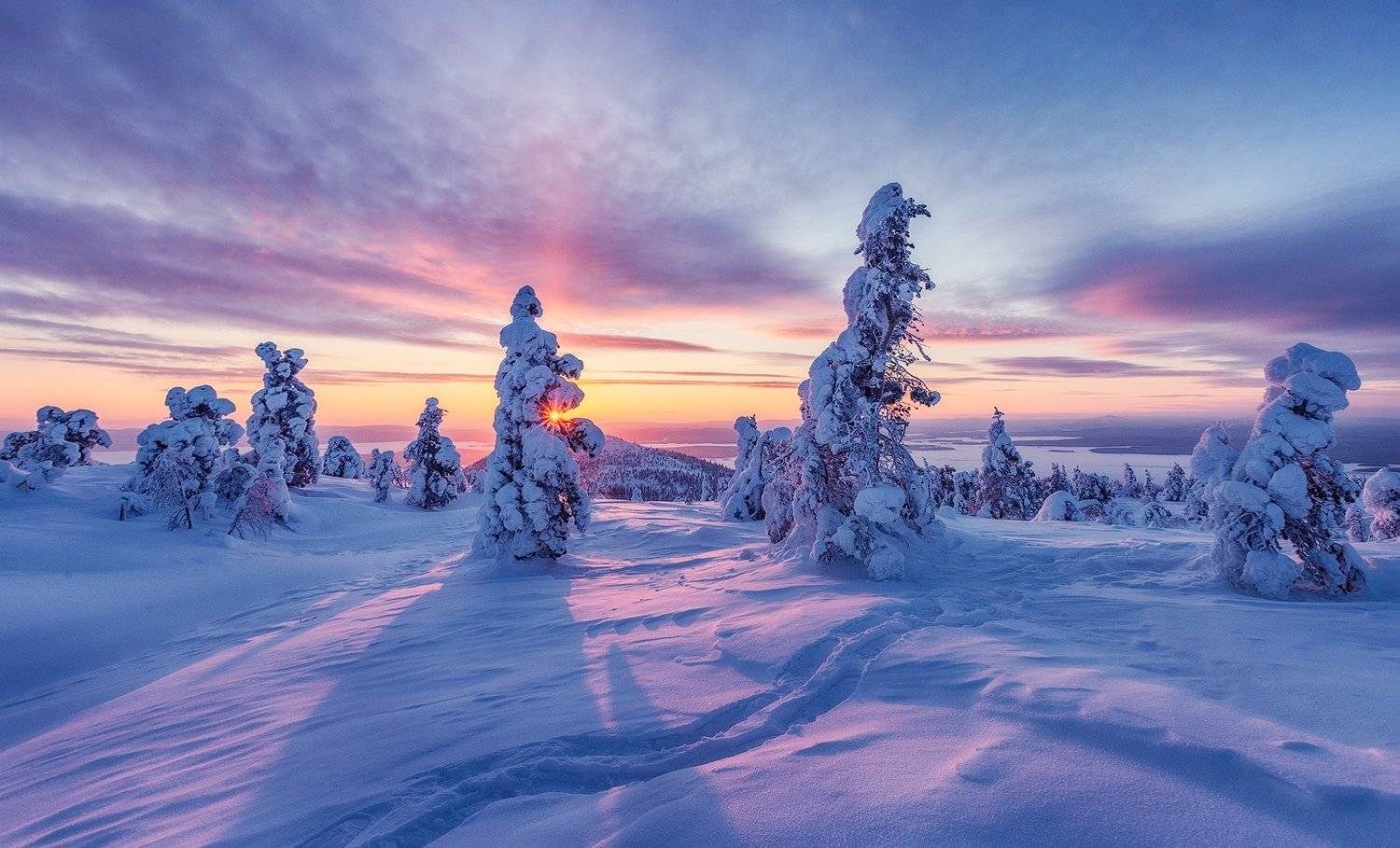 заполярье, гора, снег, волосная, ели, рассвет, закат, Владимир Липецких