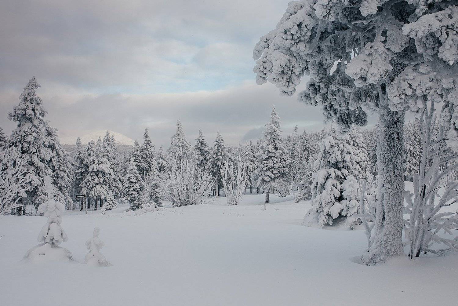 урал, горы, таганай, россия, зима, природа, Евгений Толкачёв