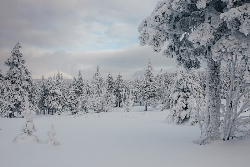 урал, горы, таганай, россия, зима, природа Снежное царство фото превью
