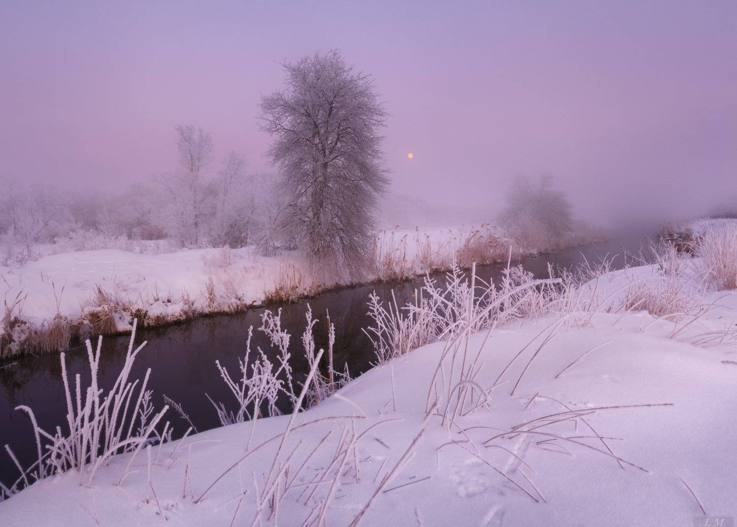 утро, мороз, туман, иней, речка, луна, пейзаж, рассвет, снег, зима, morning, dawn, winter, landscape, frozen, fog, small, river, frost, snow, moon, foggy, trees, misty, mood, Ivan Maljarenko 