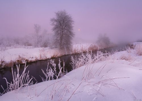 Рассвет в морозном тумане ..