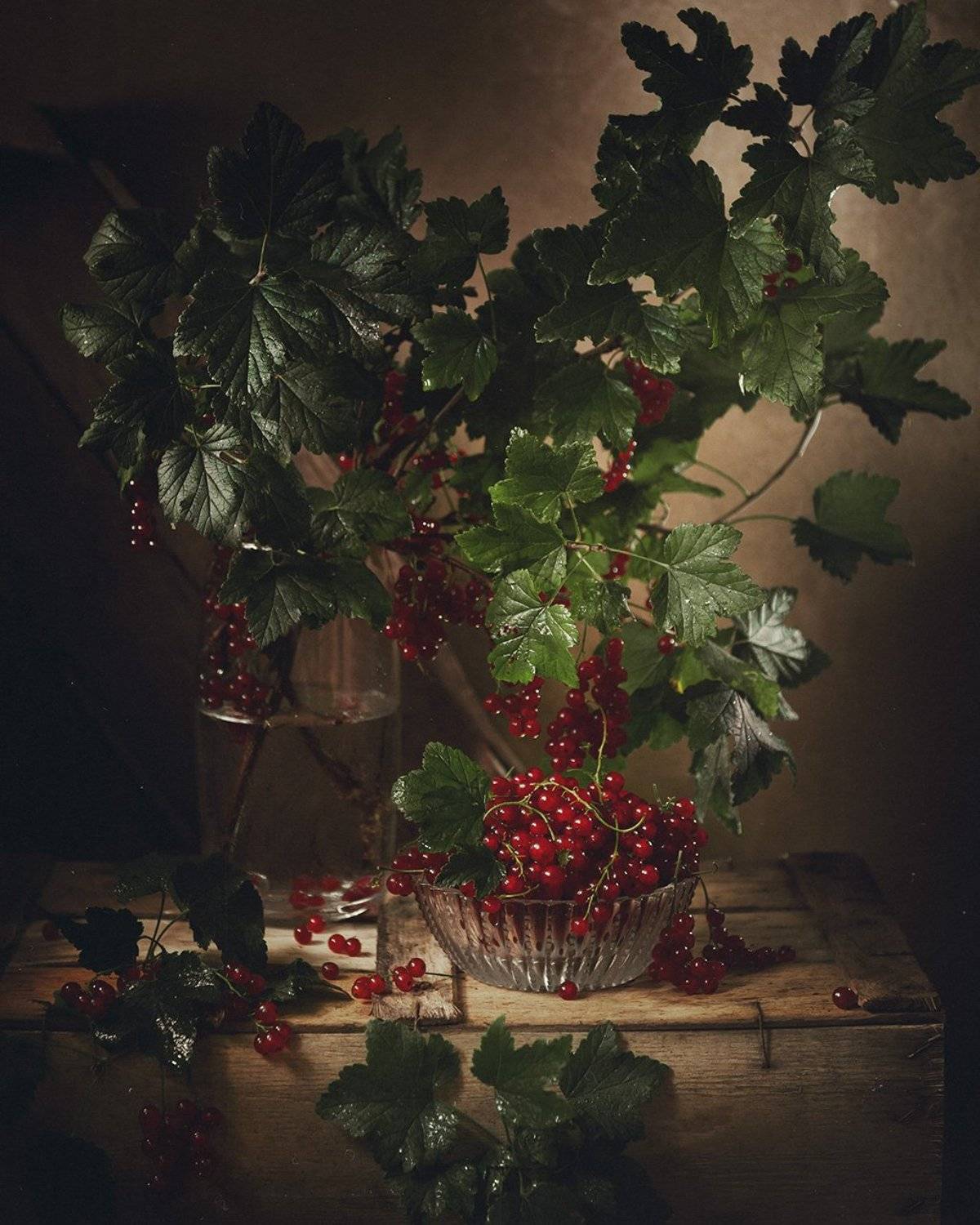 натюрморт, смородина, красная смородина, Бабинцева Мария