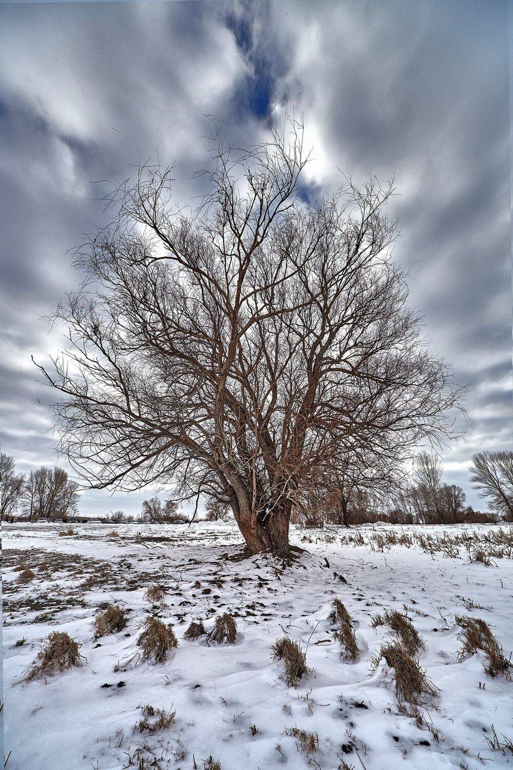 , Качурин Алексей