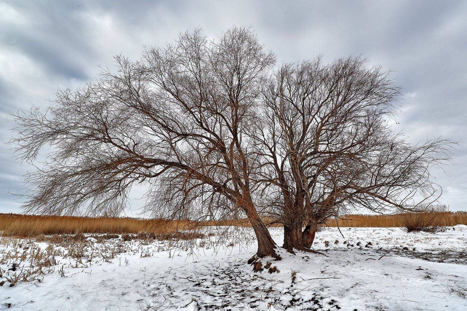 южный, урал, губерля орск, новотроицк, Качурин Алексей