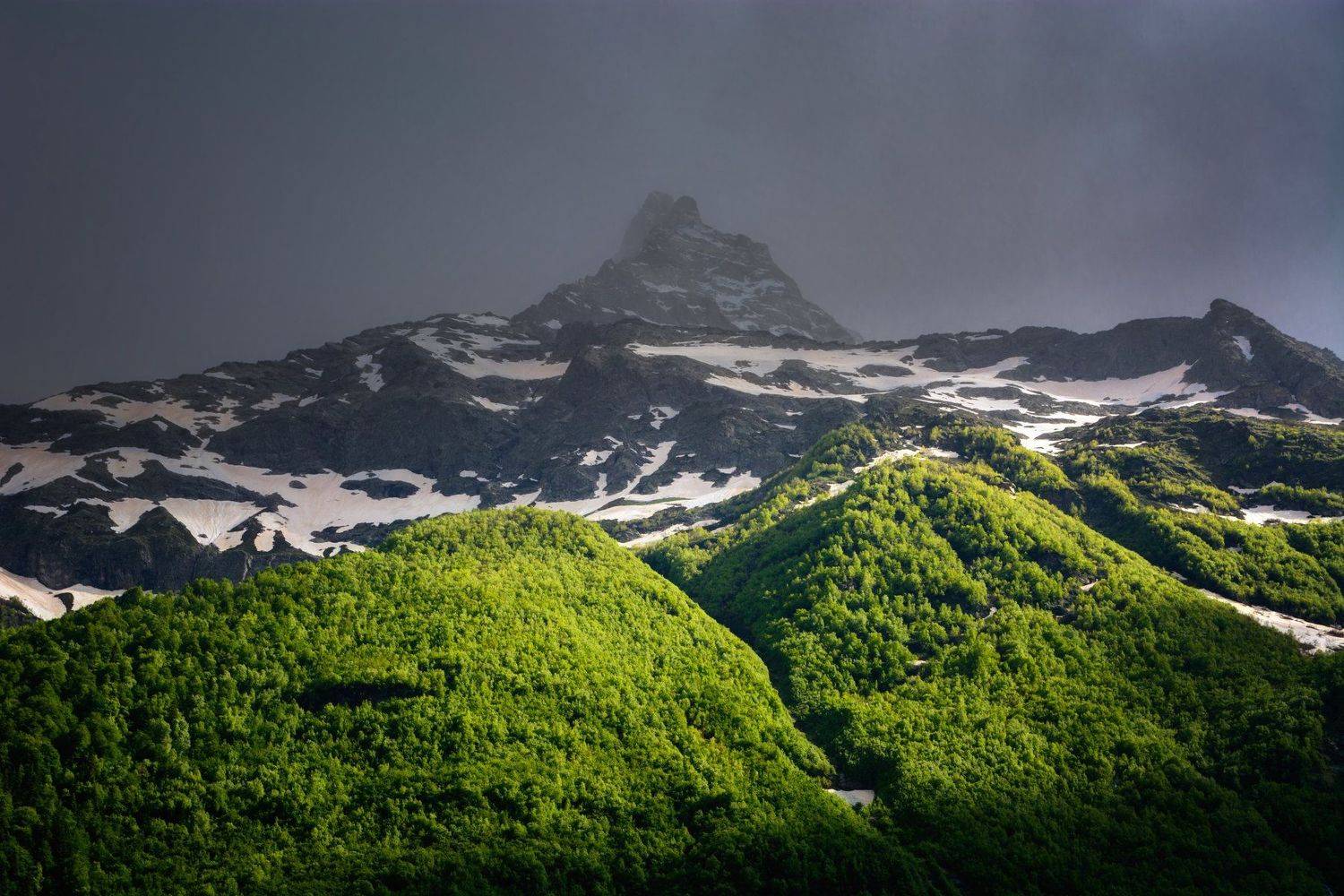 кавказ, Алексей Кретов