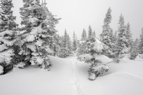 Там на неведомых дорожках ... ;)