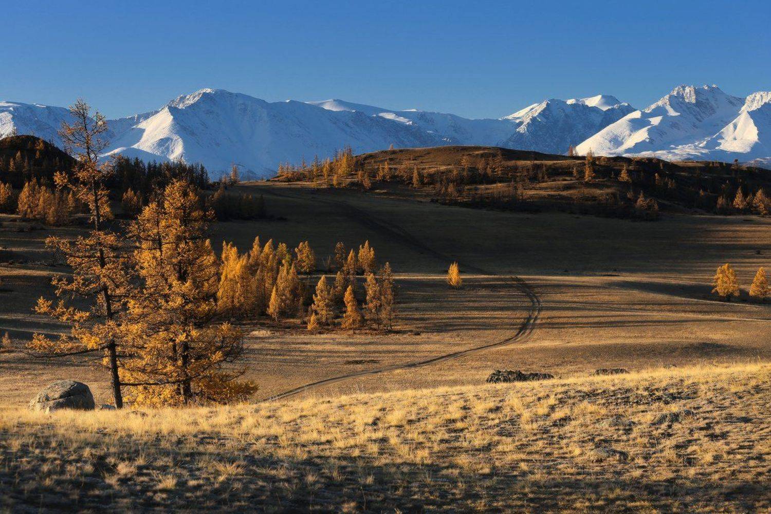 алтай, горный алтай, горы, сибирь, курай, Галина Хвостенко