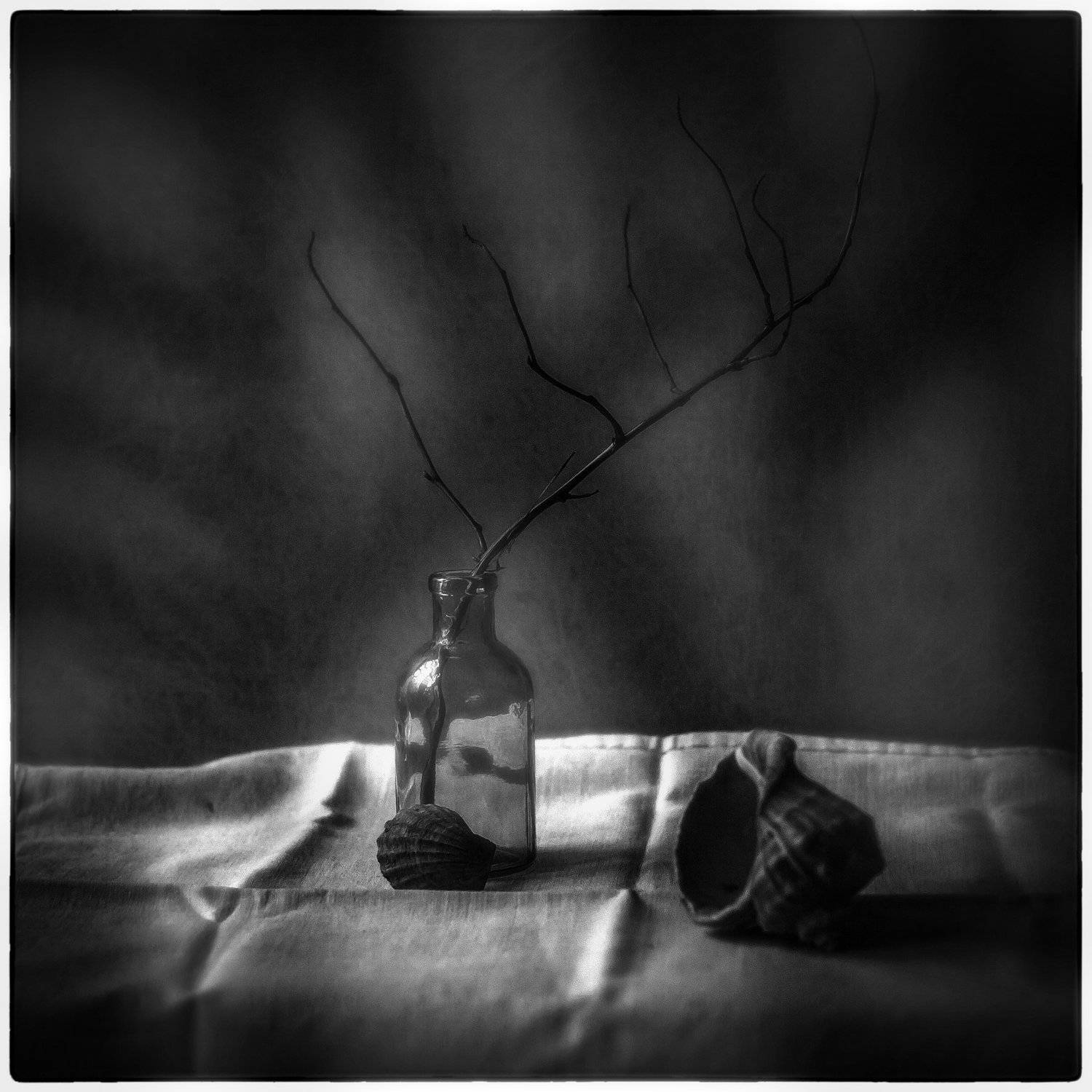 , Денис Сухачев