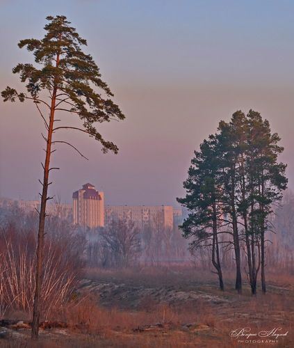 Город просыпается.