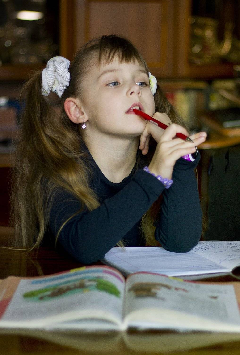 , Михаил Анисимов