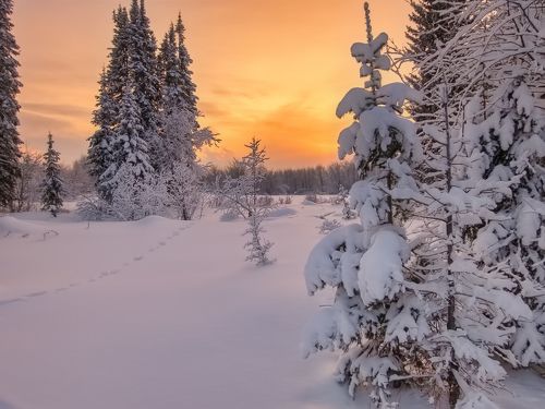 Зимний север