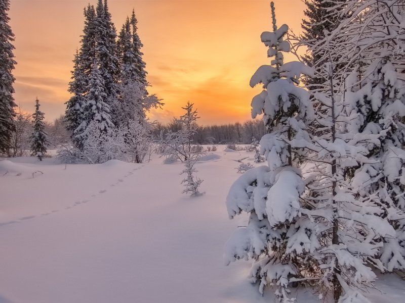 Зимний север фото превью