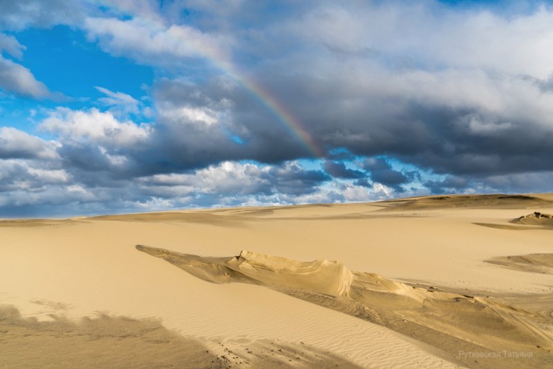 В дюнах после дождя фото превью