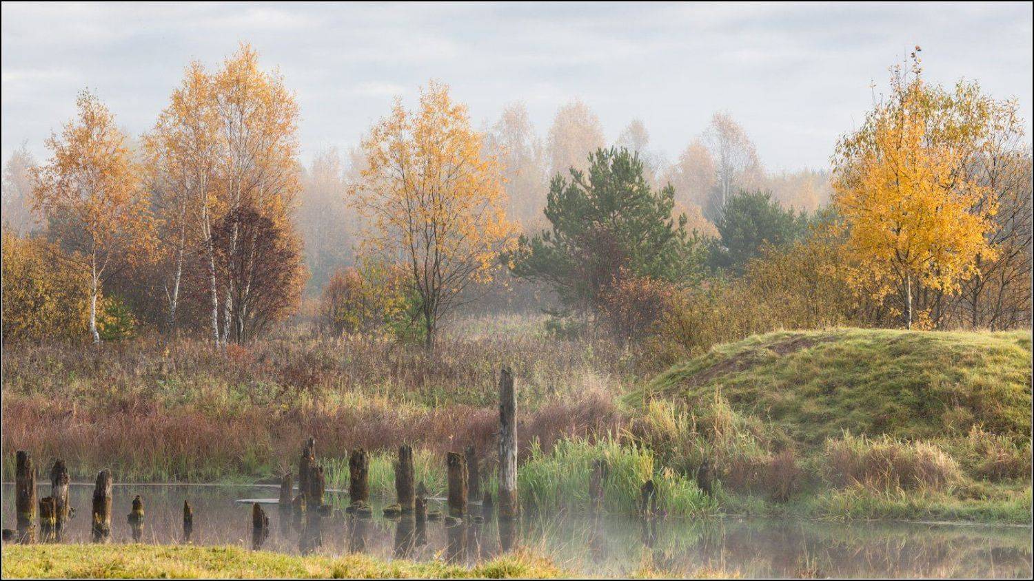 россия, владимирская обл, филипповское, Александр Марецкий