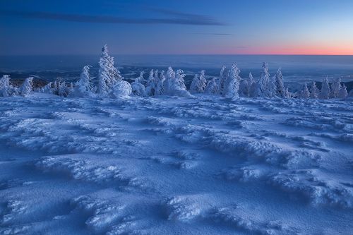 Ice Age