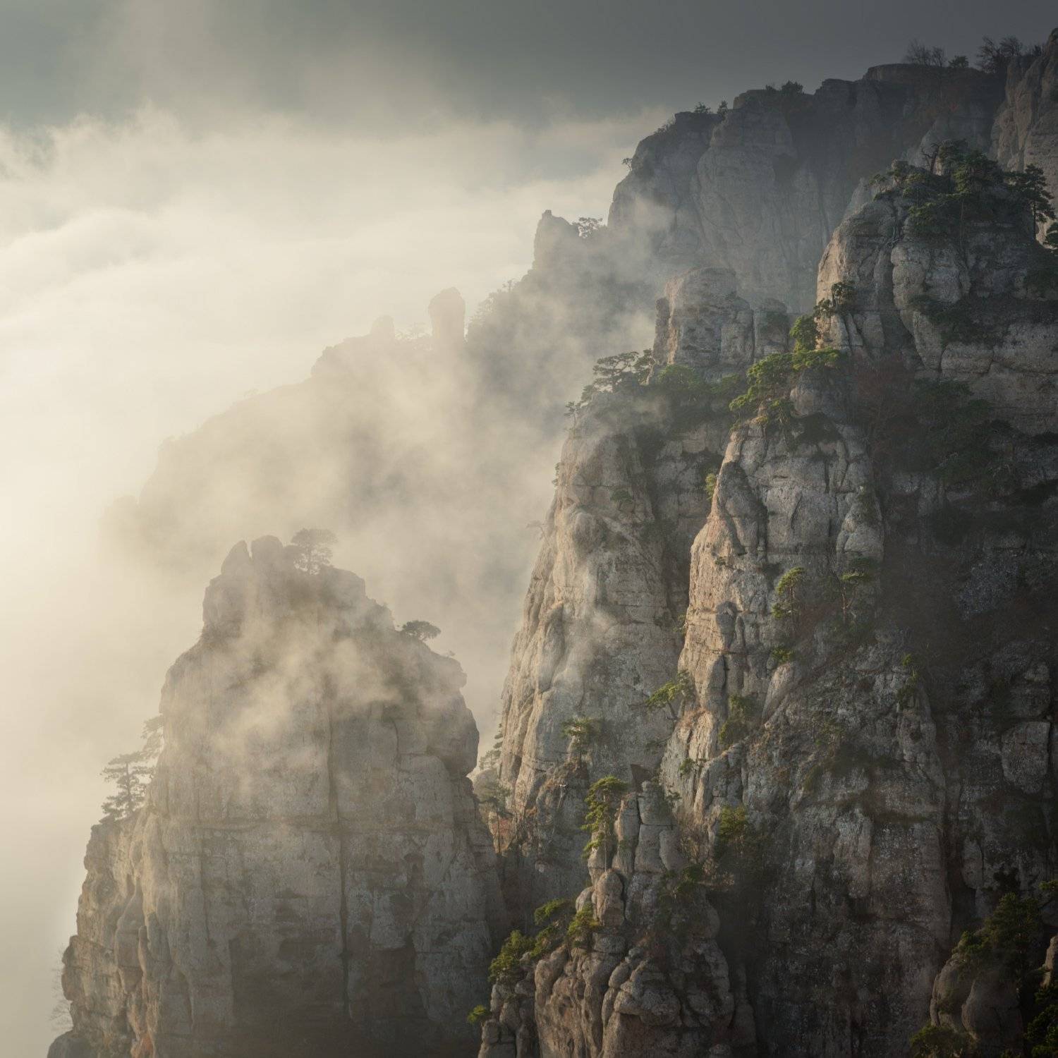 , Евгений Цап