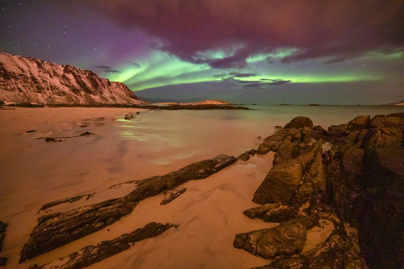 Electric night  || The Norge фото превью