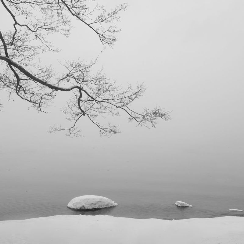 чёрно-белое, минимализм, финский залив Надежда фото превью