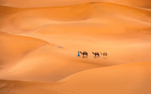 Sahara